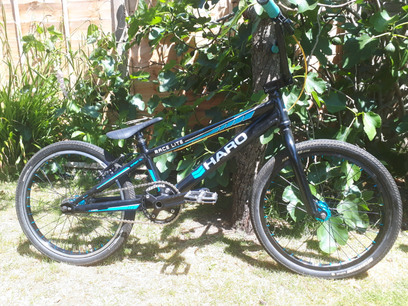 haro race lite expert xl